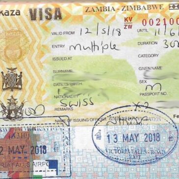 Kaza Visa (2018)